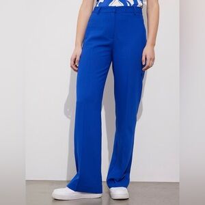 Zara Straight Leg Colbalt Blue Dress Pants